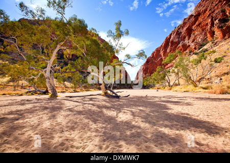 Simpson's Gap West MacDonnell Ranges Centre de l'Australie Territoire du Nord Banque D'Images