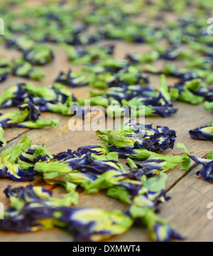 Papillon séché au soleil fleurs de pois sur la table Banque D'Images