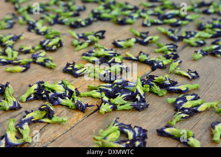 Papillon séché au soleil fleurs de pois sur la table Banque D'Images