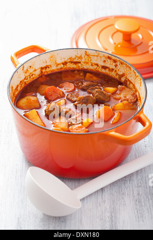 Ragoût de boeuf avec des pommes de terre et les carottes dans une casserole rouge Banque D'Images