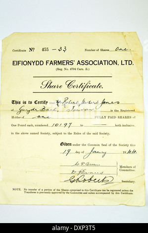 Certificat d'actions pour Eifionydd Farmers Association datant de 1944. Banque D'Images