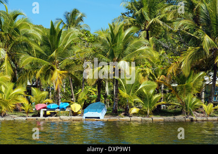 La Côte Tropical avec des cocotiers et des kayaks colorés en attente de touristes, des Caraïbes, l'île de Carenero, Bocas del Toro, PANAMA Banque D'Images
