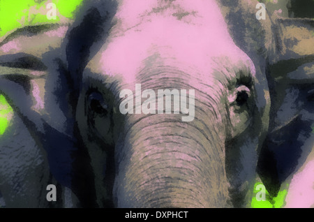 Les éléphants éléphants,Animaux,illustrations;;image;images,graphiques ; vertical ; illustrations elephant elephant indien; Banque D'Images