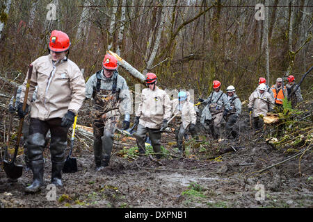 Oso, Washington, USA . Mar 28, 2014. Les secouristes poursuivent leurs efforts pour localiser les victimes d'un énorme glissement de terrain qui a tué au moins 28 personnes et détruit un petit village dans le nord-ouest de l'état de Washington le 28 mars 2014 dans l'Oso, Washington. Credit : Planetpix/Alamy Live News Banque D'Images