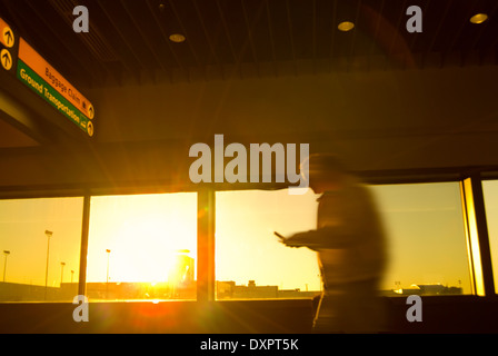 L'homme à la recherche de téléphone comme il se précipite à travers l'Airport Banque D'Images