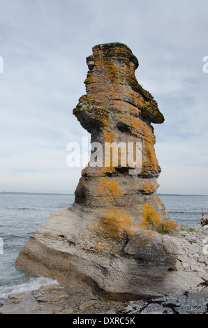 Canada, Québec, Havre St-Pierre, Parc National de l'archipel de Mingan, lle Quarry (Île Quarry). Banque D'Images