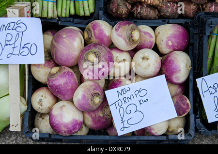 Nouveau navet pour la vente sur un marché en plein air au Grassmarket, Édimbourg. Banque D'Images