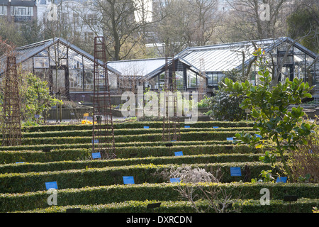 Serres et de couverture dans l'Hortus Botanicus Amsterdam, Pays-Bas Banque D'Images