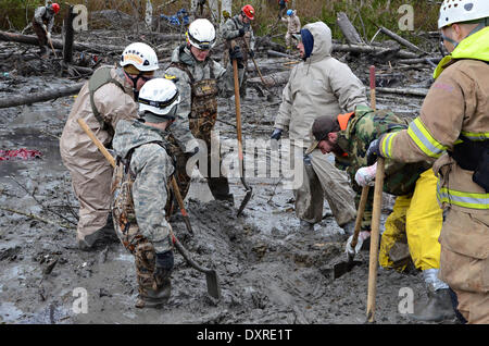 Les secouristes poursuivent leurs efforts pour localiser les victimes d'un énorme glissement de terrain qui a tué au moins 28 personnes et détruit un petit village dans le nord-ouest de l'état de Washington le 29 mars 2014 dans l'Oso, Washington. Banque D'Images