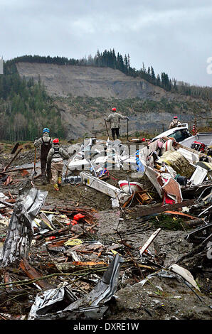 Les secouristes poursuivent leurs efforts pour localiser les victimes d'un énorme glissement de terrain qui a tué au moins 28 personnes et détruit un petit village dans le nord-ouest de l'état de Washington le 29 mars 2014 dans l'Oso, Washington. Banque D'Images