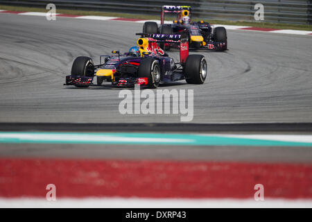 Sepang, en Malaisie. 30Th Mar, 2014. SEBASTIAN VETTEL de l'Allemagne et d'Infiniti Red Bull Racing durs pendant le Grand Prix de Malaisie de Formule 1 2014 à Sepang International Circuit à Sepang, Malaisie. Credit : James Gasperotti/ZUMA/ZUMAPRESS.com/Alamy fil Live News Banque D'Images