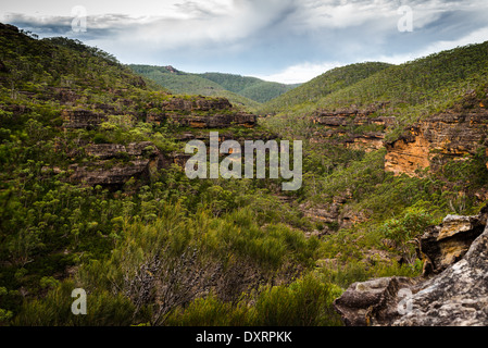 Forteresse Creek Canyon, les Montagnes Bleues, près de Sydney, NSW, Australie Banque D'Images