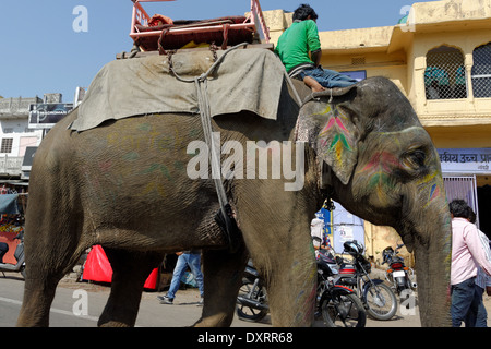 L'éléphant indien de couleur sur une rue de Jaipur, Inde. Banque D'Images