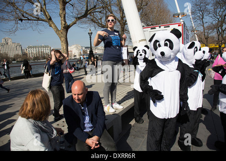Le WWF (World Wildlife Fund) partisans vêtus de costumes panda envahissent le South Bank à Londres, au Royaume-Uni. Banque D'Images