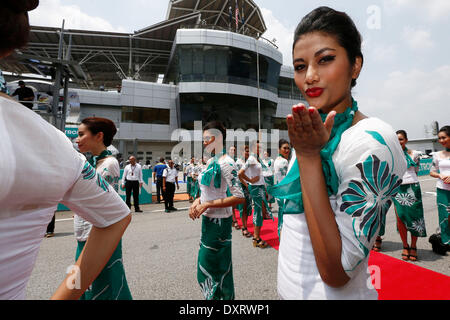 Sepang, en Malaisie. 30Th Mar, 2014. Sport Automobile : Championnat du Monde de Formule 1 de la FIA 2014, Grand Prix de Malaisie, le grid girls : dpa Crédit photo alliance/Alamy Live News Banque D'Images