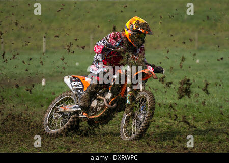 Longton, Lancashire, UK 30 Mars, 2014. Première réunion de l'Association tenue Lancashire Offroad Grasstrack à moindre Marsh Farm, Longton, Preston. Une moto de course junior, grass track, vitesse, vélos, motos, sport, alimentation, gagnant, course, motocross, la concurrence, les sports extrêmes, casque, roue, moto, sport, rider, cross, fun, jump, école, sport, Trail, saleté, événement rapide tenue sous les règles du Code sportif national de l'ACU règlements pour les voies de l'herbe. Banque D'Images