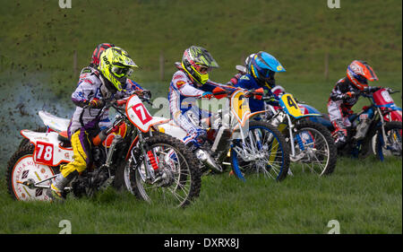 Motocyclisme sur piste de gazon de jeunes dans beaucoup de Hoole, Lancashire, Royaume-Uni Mars, 2014. Jolyon West dirige le pack au début de la course MX85, lors de la première réunion de l'association Lancashire Offroad Grasstrack qui s'est tenue à Lower Marsh Farm, à Rest Hoole, à Preston. Une course de moto junior, piste d'herbe, vitesse, vélo, moto, motorsport, puissance, gagnant, course, motocross, compétition, sports extrêmes, casque, roue, moto, sport, cavalier, cross, fun, saut, L'équitation, les sports, les sentiers, la saleté, la course rapide tenue en vertu du Code national du sport des règlements permanents de l'ACU pour les pistes herbeuses. Banque D'Images