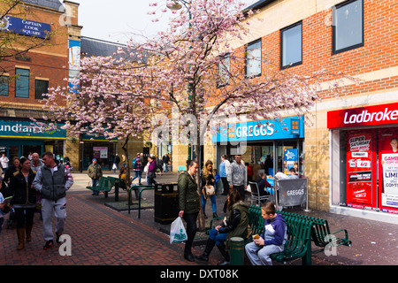 Gilkes Street et le capitaine Cook Middlesbrough carrés sur un matin de printemps avec cherry blossom tree Banque D'Images