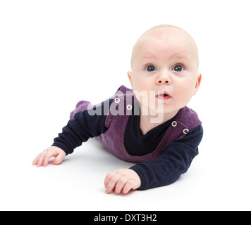 Tout-petit isolé sur fond blanc à la caméra de studio shot. Banque D'Images