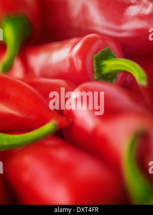 Extreme close up of red Chili Peppers Banque D'Images