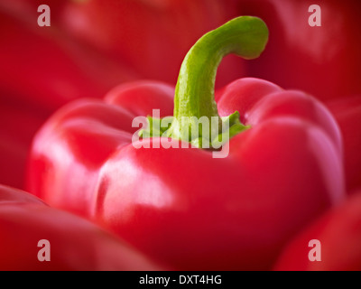 Extreme close up of red bell pepper Banque D'Images