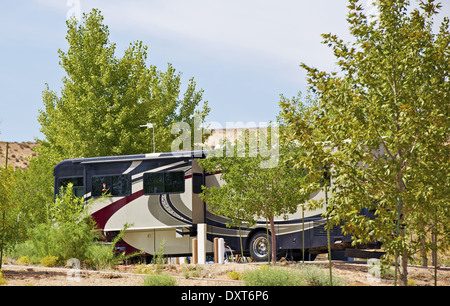 Diesel Pusher RV Catégorie A ( Camping ) - véhicule récréatif entre arbres dans l'un de l'Arizona. Banque D'Images