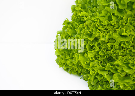 La laitue est un légume vert foncé. La laitue est souvent utilisé pour les salades et c'est une bonne source de vitamine A 000 ch. Banque D'Images