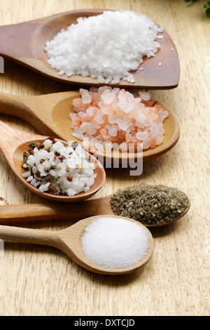 Différents types de sel (mer, rose, noir, et d'épices) Banque D'Images