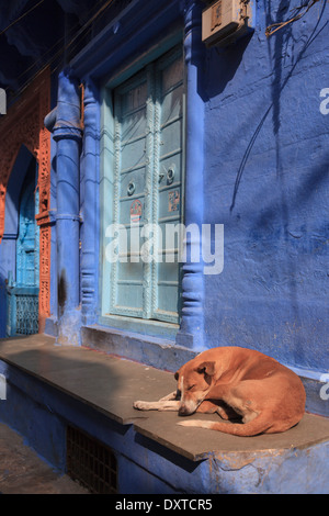 L'Inde, Rajasthan, Jodhpur, Vieille Ville Banque D'Images
