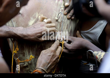 Yangon, Myanmar. 30Th Mar, 2014. Un hindou dévot obtient son dos percé lors d'un festival hindou traditionnel dans la banlieue de Yangon, Myanmar, le 30 mars 2014. Credit : U Aung/Xinhua/Alamy Live News Banque D'Images