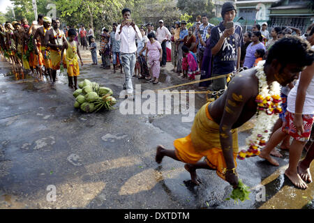 Yangon, Myanmar. 30Th Mar, 2014. Un dévot hindou avec son dos percé tire de coco lors d'une fête hindoue traditionnelle, dans la banlieue de Yangon, Myanmar, le 30 mars 2014. Credit : U Aung/Xinhua/Alamy Live News Banque D'Images