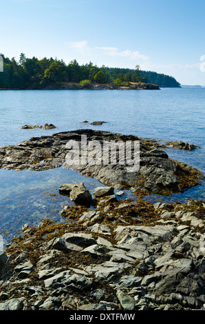 Côte Rocheuse s'étendant dans les eaux au large de l'île Salt Spring, BC, Canada. L'une des îles du Golfe situé dans le détroit de Georgia Banque D'Images