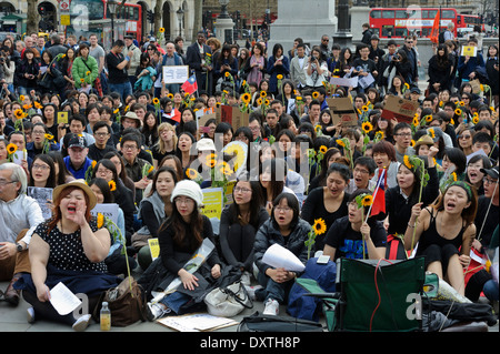 Les étudiants taiwanais qui protestaient pacifiquement au sujet de la démocratie à Taiwan et de service accord commercial avec la Chine à Trafalgar Square,UK Banque D'Images