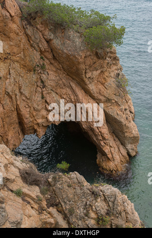 Es Castell (Palamós) naturel préservé, l'un des rares intact à Costa Brava, Espagne Banque D'Images