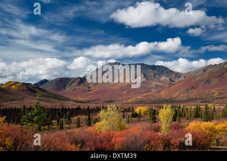 Couleurs d'automne et de la cathédrale de la montagne, le parc territorial Tombstone, Yukon, Canada Banque D'Images