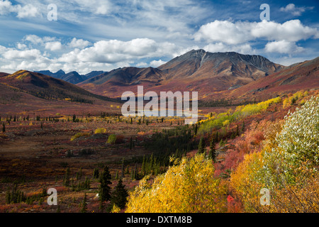 Couleurs d'automne et de la cathédrale de la montagne, le parc territorial Tombstone, Yukon, Canada Banque D'Images