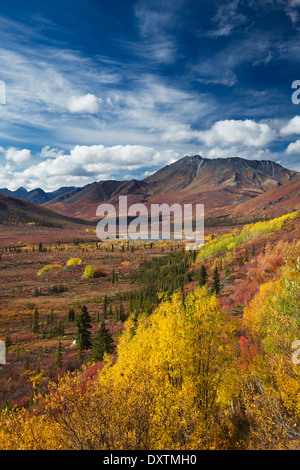 Couleurs d'automne et de la cathédrale de la montagne, le parc territorial Tombstone, Yukon, Canada Banque D'Images