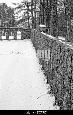 Mur de jardin recouverte de vigne à un glilded age estate en hiver. Le Mont, Edith Warton. Berkshiere estate à Lenox, Ma. Banque D'Images