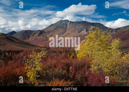 Couleurs d'automne et de la cathédrale de la montagne, le parc territorial Tombstone, Yukon, Canada Banque D'Images