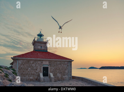 Phare avec mouette, Greben, Dubrovnik Banque D'Images