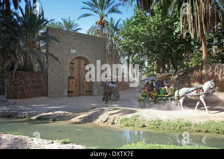 Conduire les touristes en calèche à travers la plus grande oasis tunisien qui s'appelle palmeraie de Tozeur à Tozeur, Tunisie. Banque D'Images