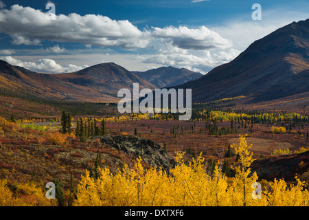 La gamme prospecteur dans le parc territorial Tombstone, sur la route Dempster, au Yukon, Canada Banque D'Images