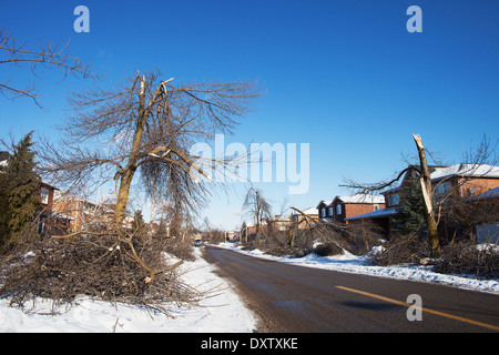 Les dommages causés par le 21 décembre 2013 Tempête de verglas pour Petworth Road, Brampton, Ontario, Canada Banque D'Images