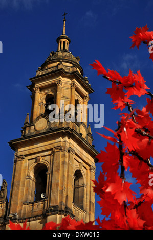 Flèche de cathédrale avec des décorations de Noël à Bogota, Colombie Banque D'Images