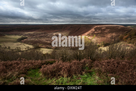 L'automne (automne) se dépose sur le trou de Horcum dans le milieu de la North York Moors près de Goathland, Yorkshire, UK. Banque D'Images