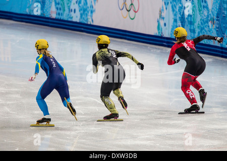 Compétition dans le Women's Short Track chauffe 500m aux Jeux Olympiques d'hiver de Sotchi en 2014, Banque D'Images