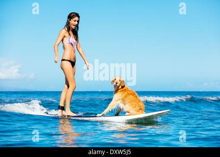 Jolie Jeune femme Surf avec son chien. Équitation, ainsi que dans l'océan. Chien de surf. Banque D'Images