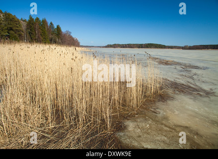 Le sud de la Finlande, au début du printemps, fjord Porvoonjoki Banque D'Images