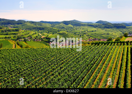 Vue sur les vignes et de l'Mondhalde Landsdorf lookout, Vogtsburg, gamme de Kaiserstuhl, Bade-Wurtemberg, Allemagne Banque D'Images