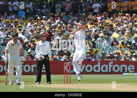 Morne Morkel Australie contre. L'Afrique du sud de Cricket a tenu à Adelaide Adelaide Australie - 24.11.12 comprend : Morne Morkel Où : United States Quand : 24 Nov 2012 Banque D'Images